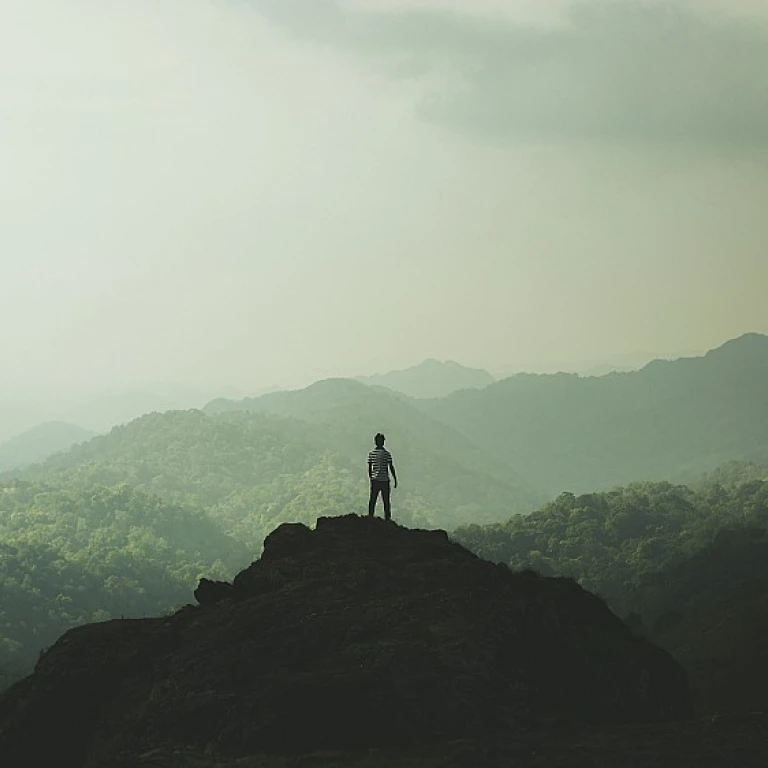 Enhancing Employee Engagement with Doyle's Human Capital Strategies