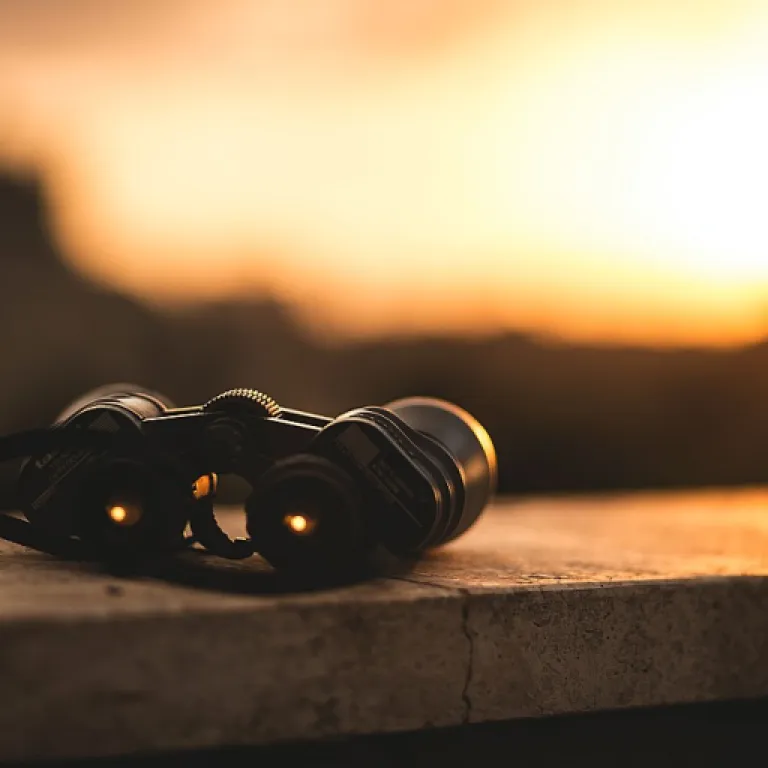 Balancing Work and Life: Embracing the 'Work to Live' Philosophy